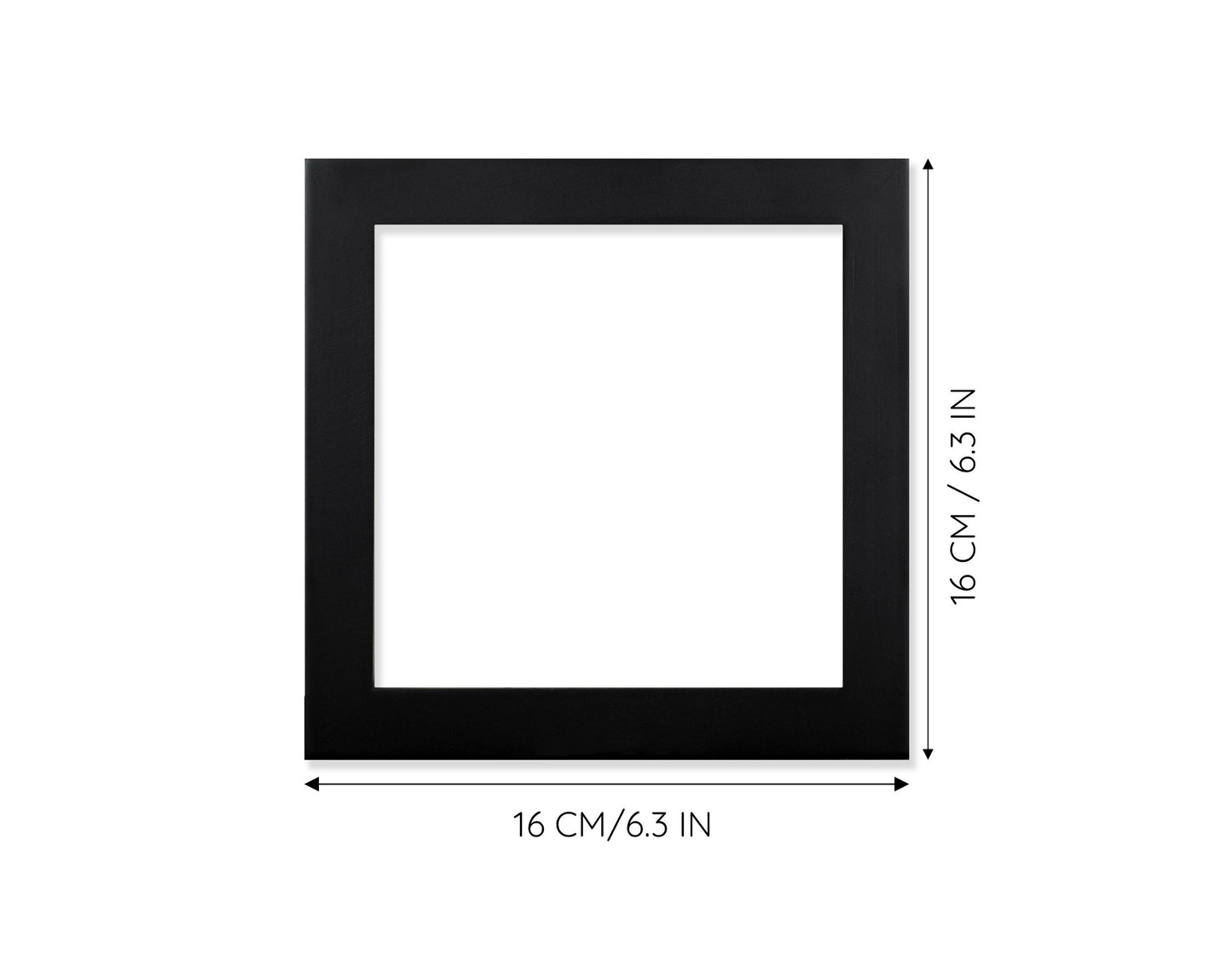 Polyura pyrrhus (verso)  Schmetterling InsectArt