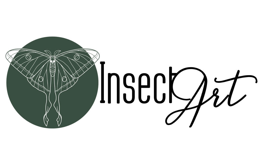 InsectArt - Real butterflies and insects in frames