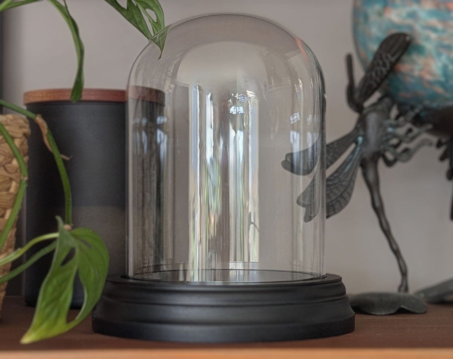 Glasdome, verschiedene Größen - InsectArt Glasdom