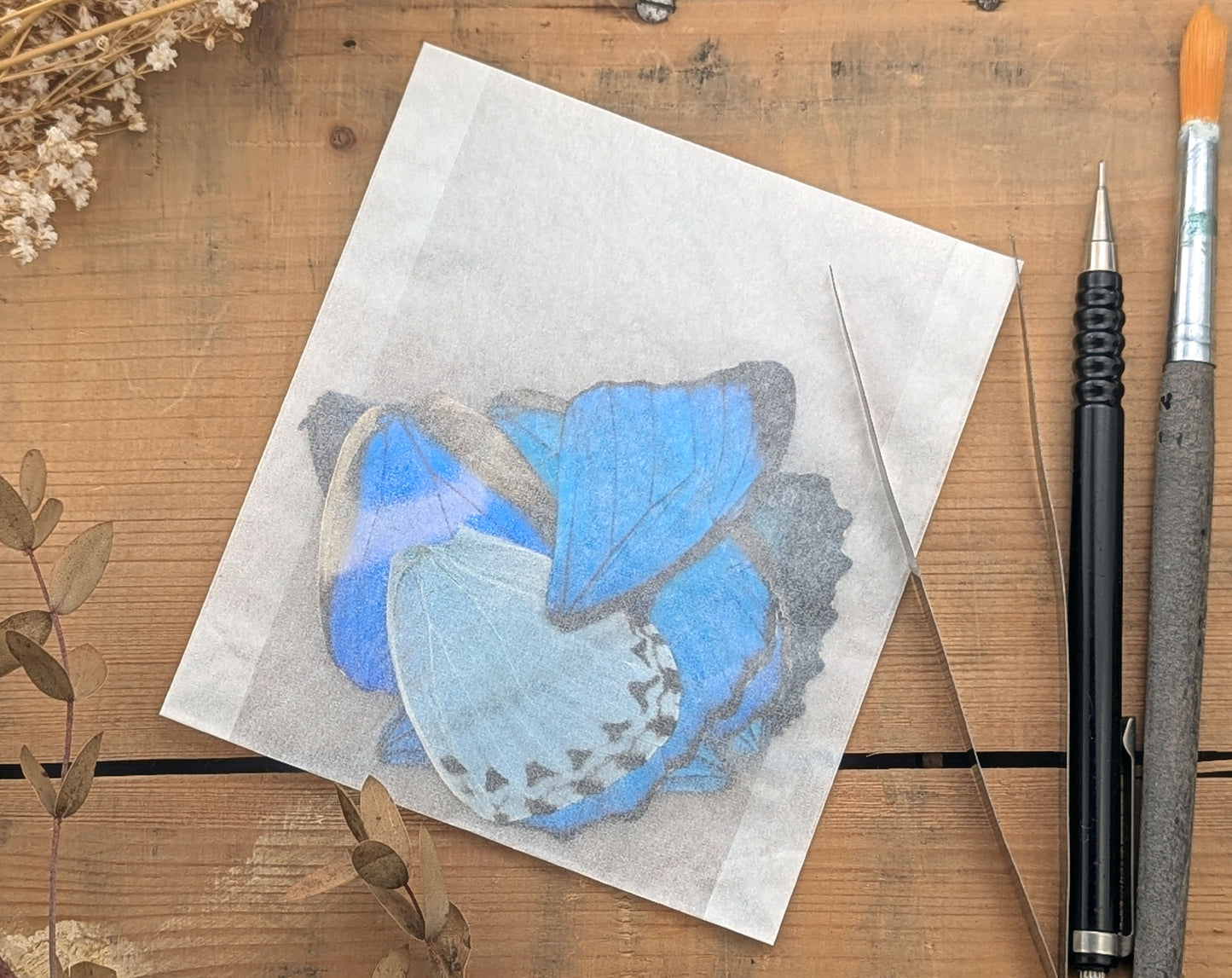 Morpho Schmetterlingsflügel im 10er Set