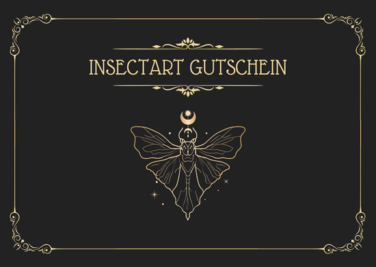 InsectArt Geschenkgutschein digital