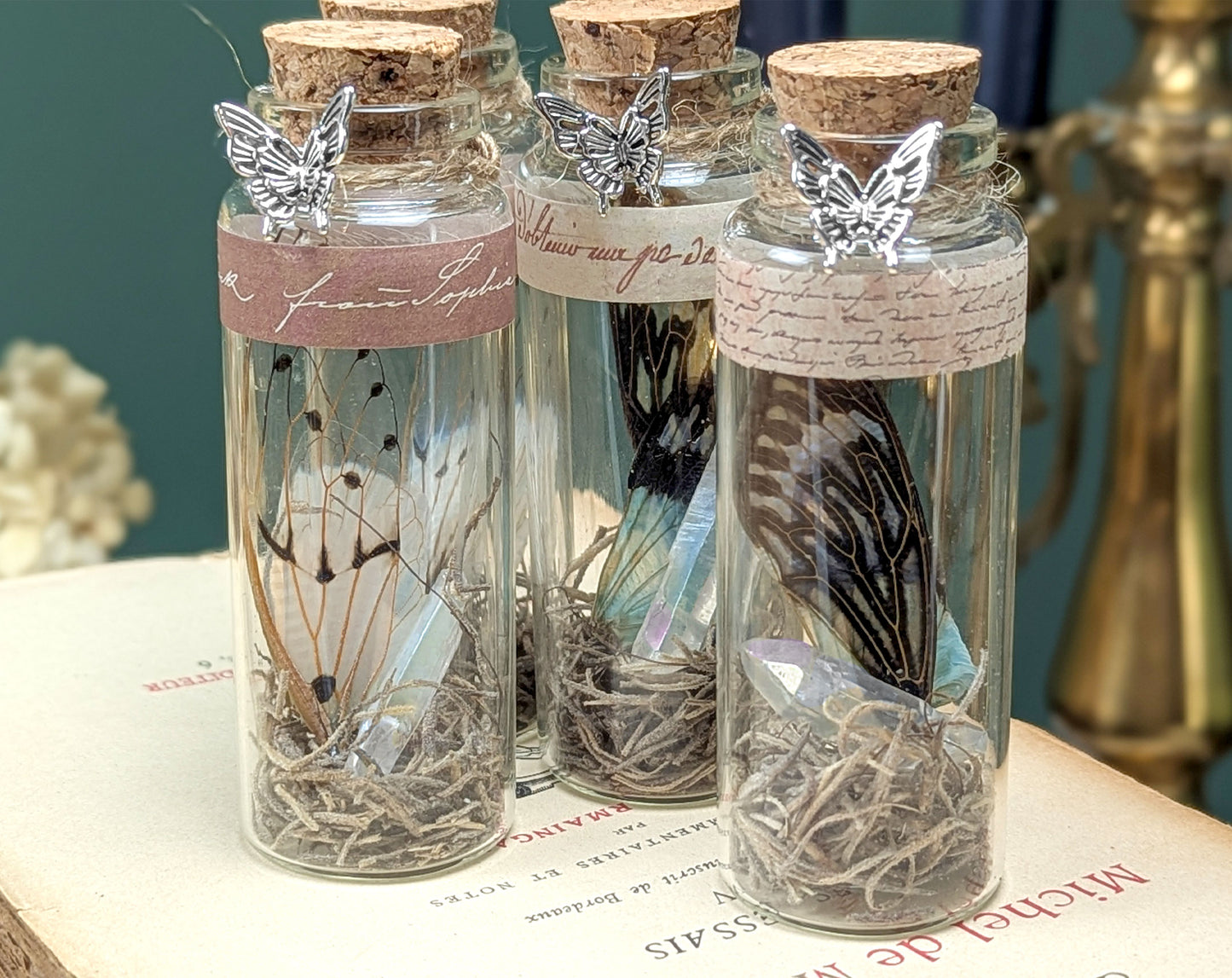 Fairy Wing Jar mit Geisterzikaden-Flügeln & Angel Aura