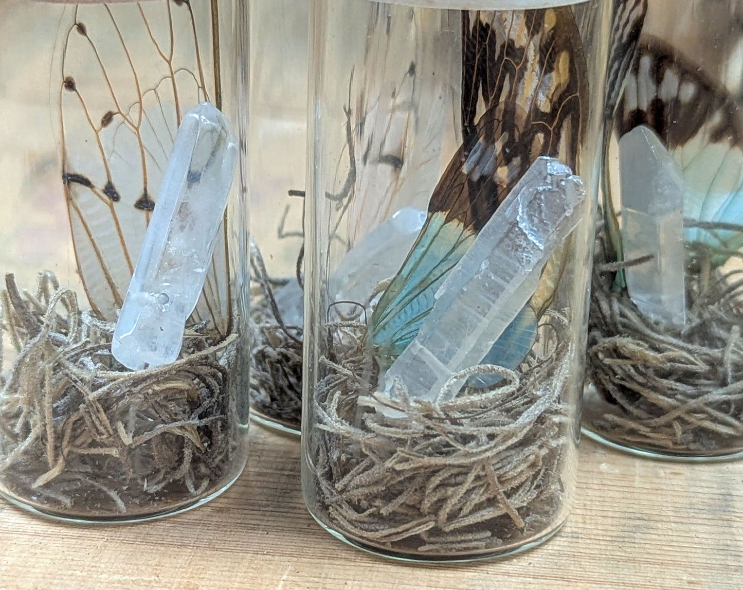 Fairy Wing Jar mit Geisterzikaden-Flügeln & Angel Aura
