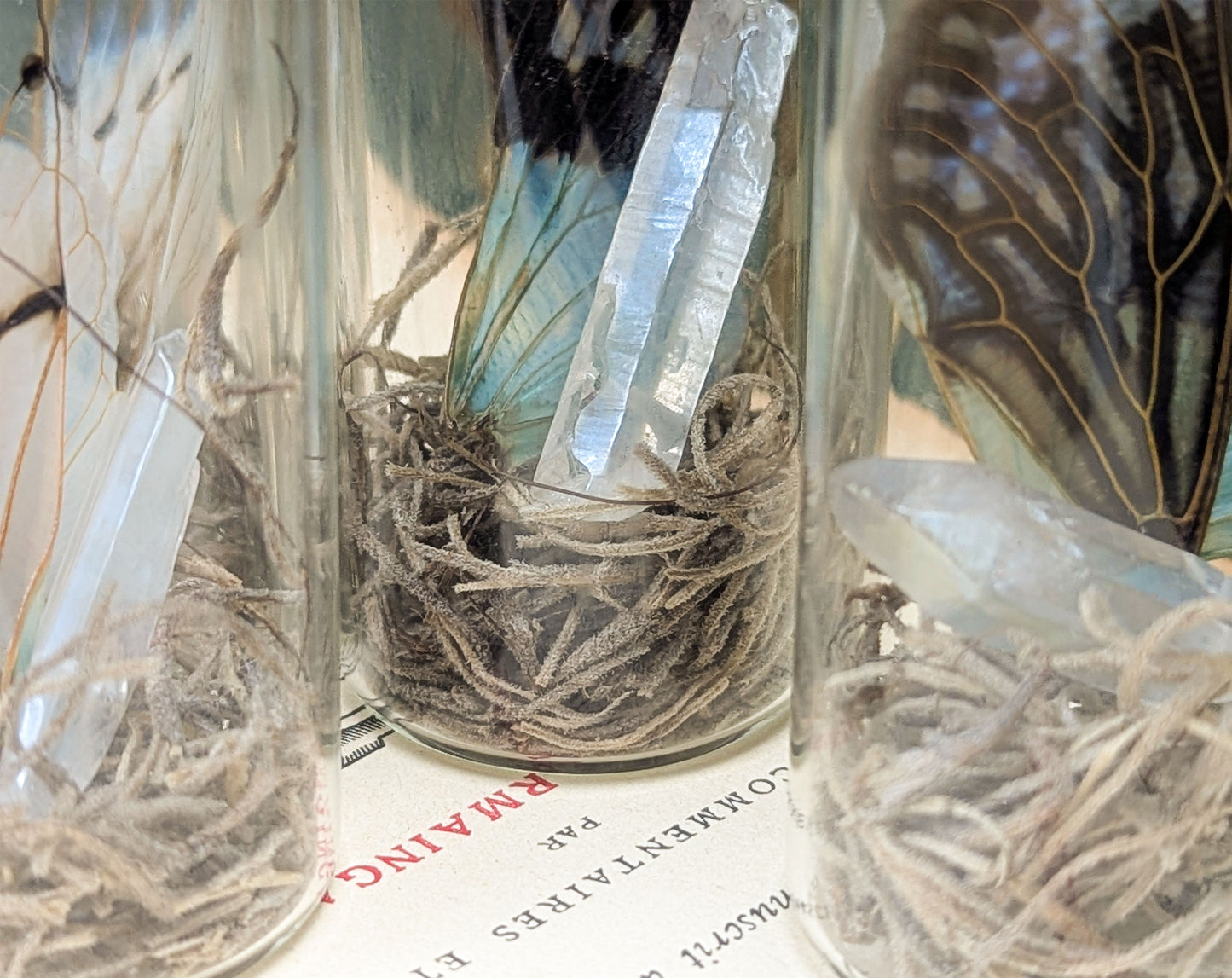 Fairy Wing Jar mit Geisterzikaden-Flügeln & Angel Aura