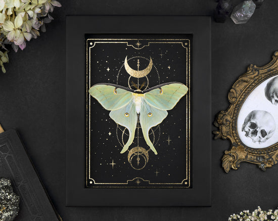 Actias Luna